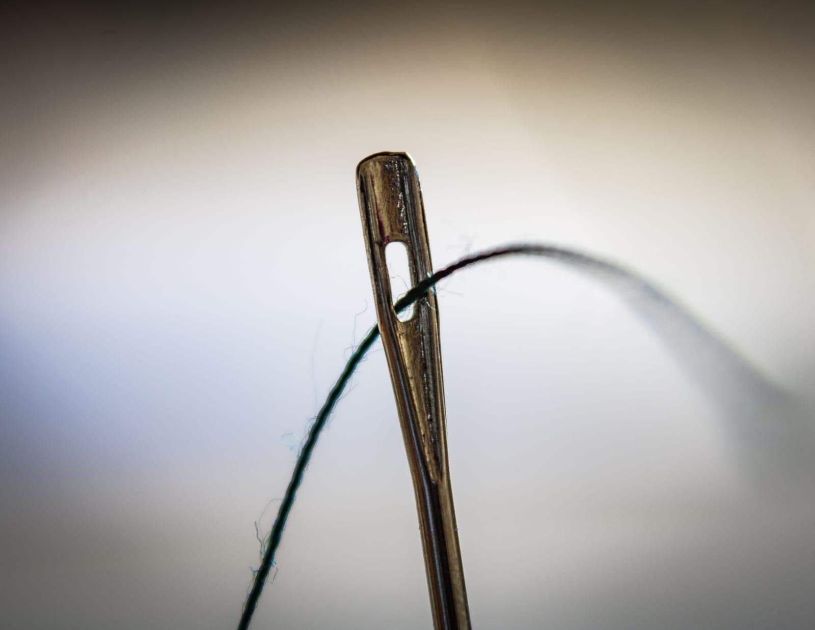 A sewing needle with thread, close up