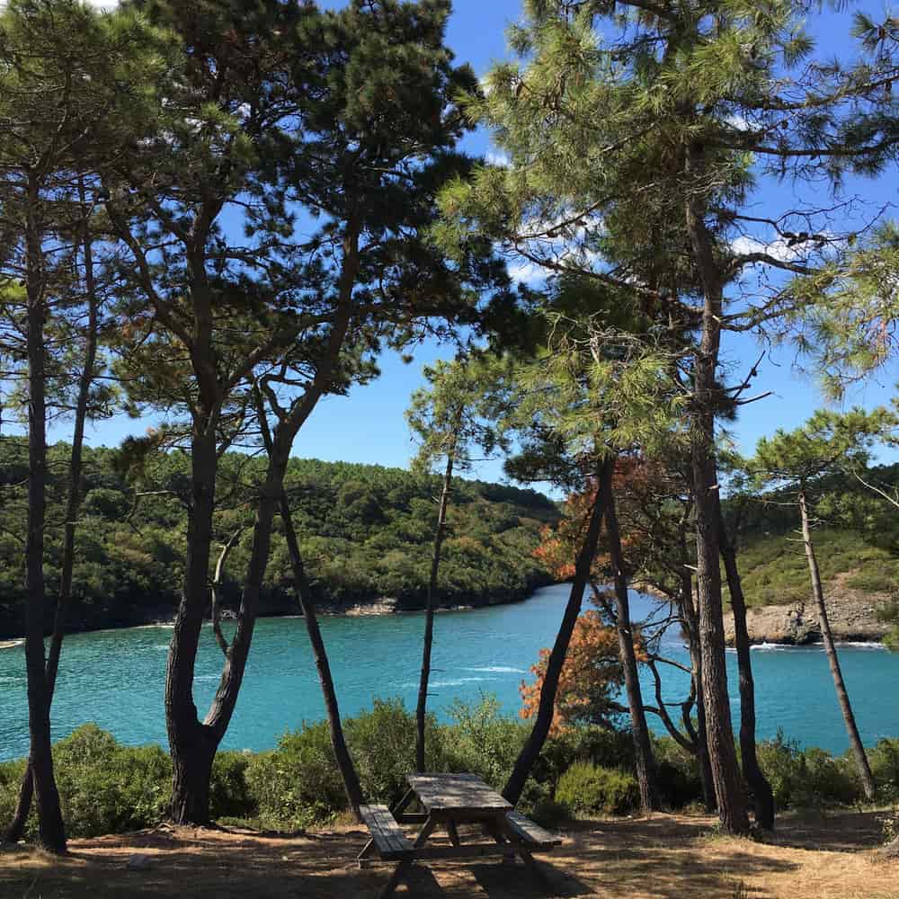 Illustrative stock photo: a picnic table under pine trees beside a lake on a sunny day